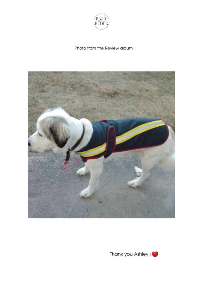 Dog Quilted Coat | Raincoat | Sewing Pattern | XS-3XL | Woven - Basic Pattern Block
