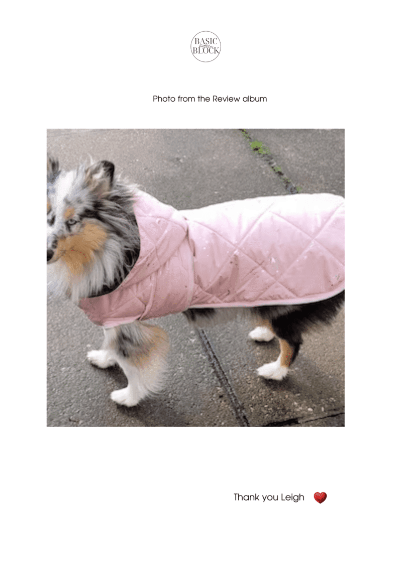 Dog Quilted Coat | Raincoat | Sewing Pattern | XS-3XL | Woven - Basic Pattern Block